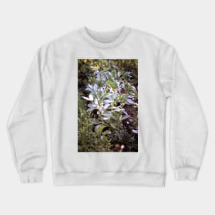 The puff beans Crewneck Sweatshirt